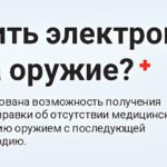 Как получить электронную справку на оружие?
