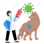 Врач-инфекционист ТОГБУЗ ГКБ №4г.Тамбова Дурнева Наталия Юрьевна напоминает про особо опасное заболевание, как БЕШЕНСТВО!