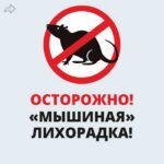 Мышиная лихорадка